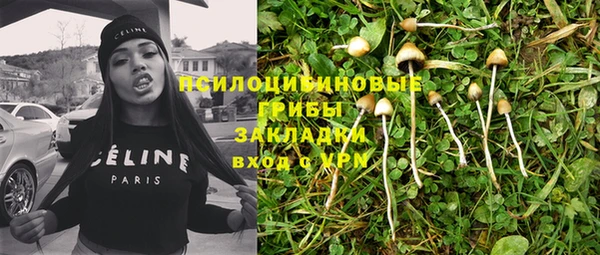 крисы Дмитровск