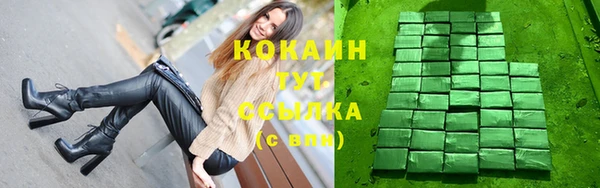 гашик Дмитриев