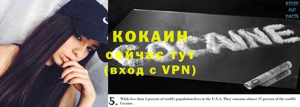 крисы Дмитровск