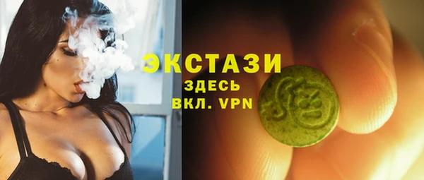 гашик Дмитриев