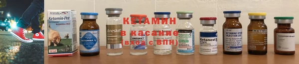 гашик Дмитриев