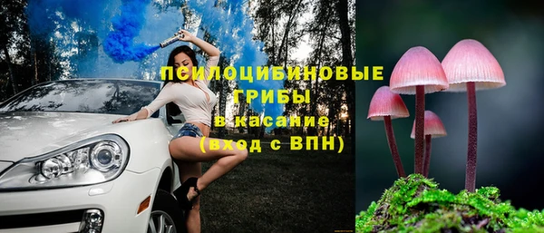 гашик Дмитриев