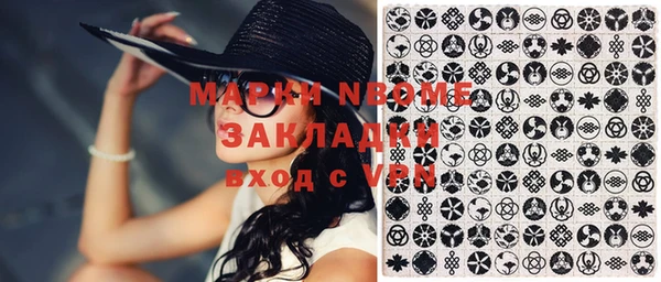 гашик Дмитриев