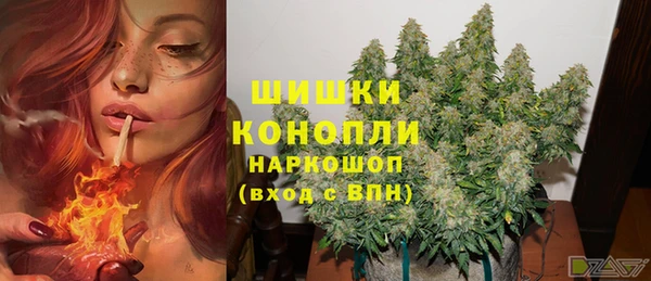 крисы Дмитровск