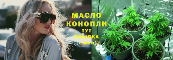 крисы Дмитровск