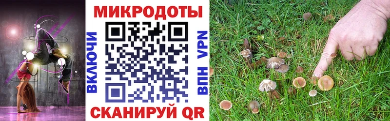 Купить  Осташков  Галлюциногенные грибы ЛСД 